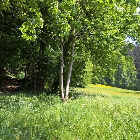 Zillertal - Haus Gigl *